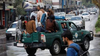 Photo de 24 membres d'Al-Qaïda tués dans des opérations anti-terroristes au Yémen